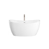 Custom image for White with Shiny White Trim and Brushed Nickel Faucet