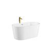 Custom image for White with Polished Chrome Trim and Brushed Gold Faucet