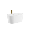 Custom image for White with Shiny White Trim and Brushed Gold Faucet
