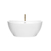 Custom image for White with Shiny White Trim and Brushed Gold Faucet / 55