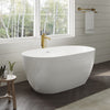 Custom image for White with Shiny White Trim and Brushed Gold Faucet