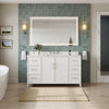 Custom image for White with Brushed Nickel Trim / White Quartz / No Mirror