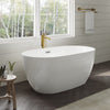 Custom image for White with Polished Chrome Trim and Brushed Gold Faucet
