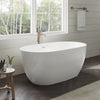 Custom image for White with Shiny White Trim and Brushed Nickel Faucet