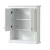 Custom image for White with Polished Chrome Trim