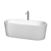 Custom image for White with Brushed Nickel Trim / 67