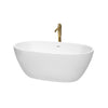 Custom image for White with Shiny White Trim and Brushed Gold Faucet / 59