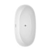 Custom image for White with Polished Chrome Trim / 63