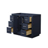 Custom image for Dark Blue with Brushed Nickel Trim / No Mirror