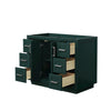 Custom image for Green with Brushed Nickel Trim / No Mirror
