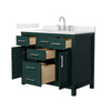 Custom image for Green with Brushed Nickel Trim / Giotto Quartz / No Mirror