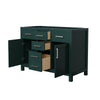 Custom image for Green with Brushed Nickel Trim / No Mirror