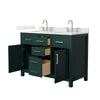 Custom image for Green with Brushed Nickel Trim / Giotto Quartz / No Mirror