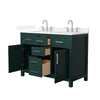 Custom image for Green with Brushed Nickel Trim / White Quartz / No Mirror