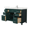 Custom image for Green with Brushed Nickel Trim / Giotto Quartz / No Mirror