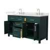 Custom image for Green with Brushed Nickel Trim / Giotto Quartz / No Mirror