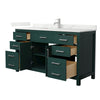 Custom image for Green with Brushed Nickel Trim / Giotto Quartz / No Mirror
