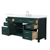 Custom image for Green with Brushed Nickel Trim / White Quartz / No Mirror