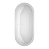 Custom image for White with Shiny White Trim / 68