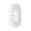 Custom image for White with Brushed Nickel Trim / 60