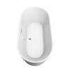 Custom image for White with Brushed Nickel Trim / 67