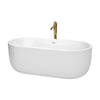 Custom image for White with Shiny White Trim and Brushed Gold Faucet / 67