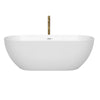Custom image for White with Shiny White Trim and Brushed Gold Faucet / 67