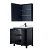 Custom image for Dark Blue with Matte Black Trim / Giotto Quartz / Medicine Cabinet