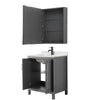 Custom image for Dark Gray with Matte Black Trim / Giotto Quartz / Medicine Cabinet