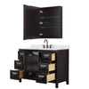 Custom image for Dark Espresso with Matte Black Trim / Giotto Quartz / Medicine Cabinet