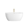 Custom image for White with Shiny White Trim and Brushed Gold Faucet