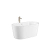 Custom image for White with Shiny White Trim and Brushed Nickel Faucet