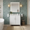 Custom image for White with Brushed Nickel Trim / White Quartz / No Mirror