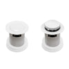 Custom image for White with Shiny White Trim